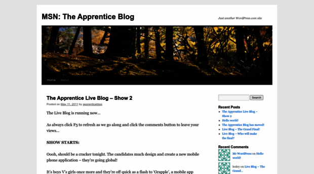 apprenticebloguk.wordpress.com