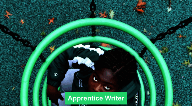 apprenticewriter.com