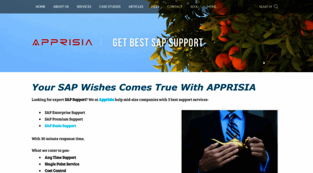 apprisia.weebly.com