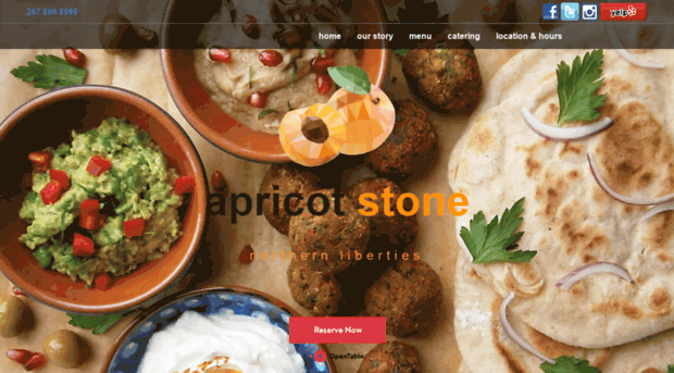 apricotstonephilly.com