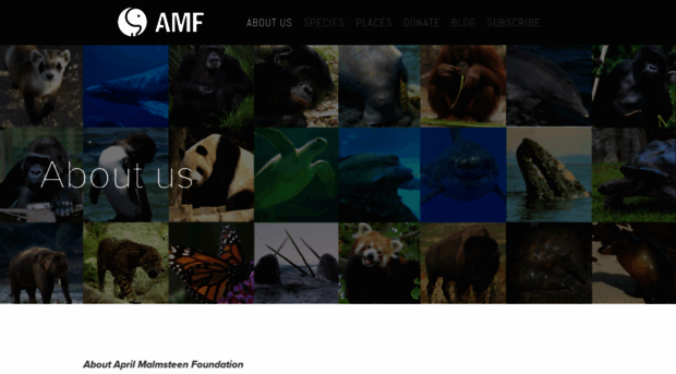 aprilmalmsteenfoundation.net