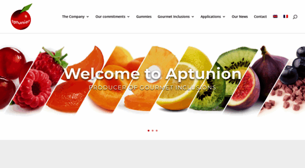 aptunion.com