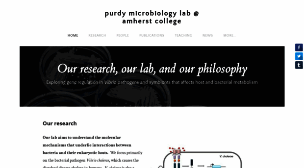 apurdylab.com