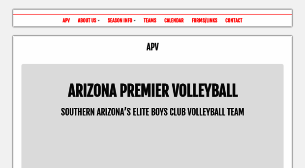 apvolleyball.com