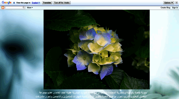 aqilah1.blogspot.com