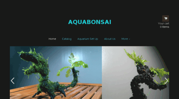 aquabonsaidesign.com
