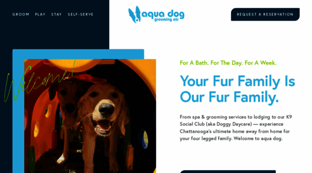 aquadoggrooming.com