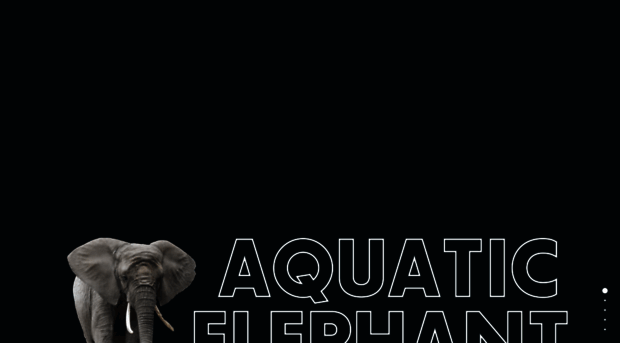aquaelephant.com