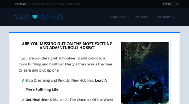 aquajunkies.com