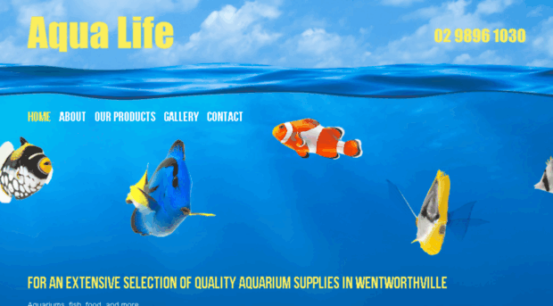 aqualifeaquariums.net