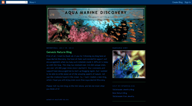 aquamarinediscovery.blogspot.com