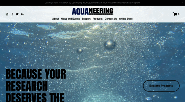 aquaneering.com