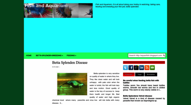 aquanfish.blogspot.com