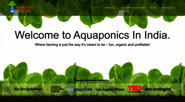 aquaponicsinindia.com