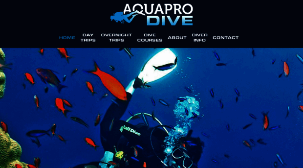 aquaprodive.com