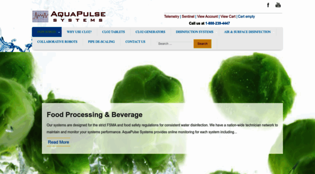 aquapulsesystems.com