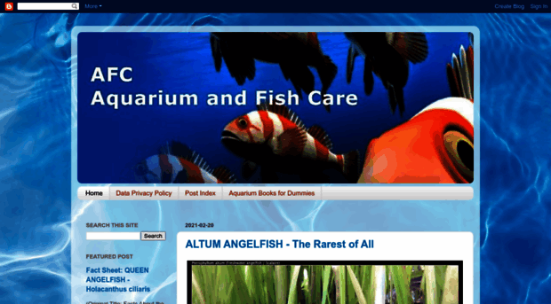 aquarium-and-fish-care.blogspot.com