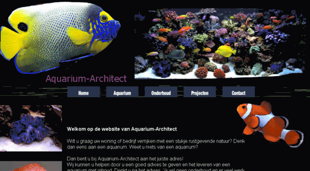 aquarium-architect.nl