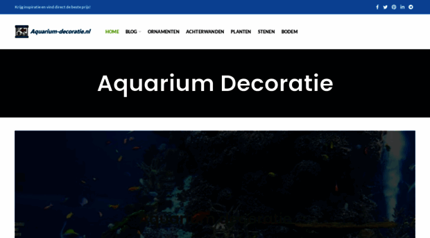 aquarium-decoratie.nl