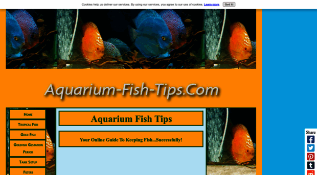 aquarium-fish-tips.com