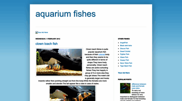 aquarium-fishes042.blogspot.com