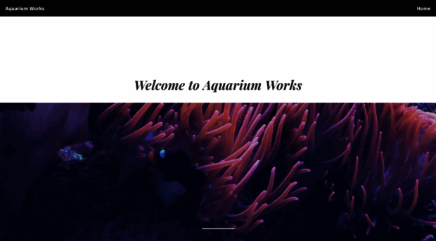 aquarium-works.com