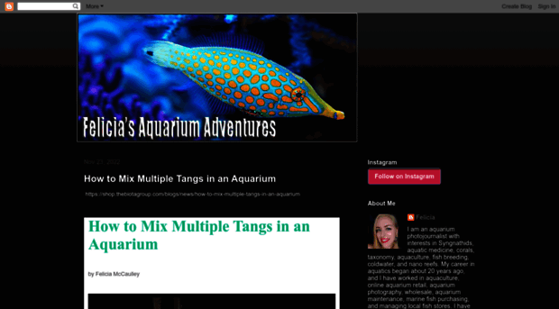 aquariumadventures.blogspot.com