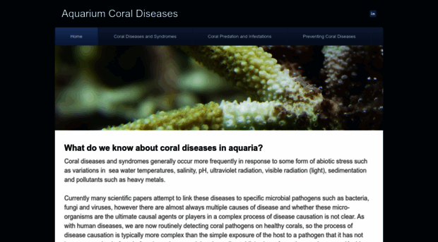 aquariumcoraldiseases.weebly.com