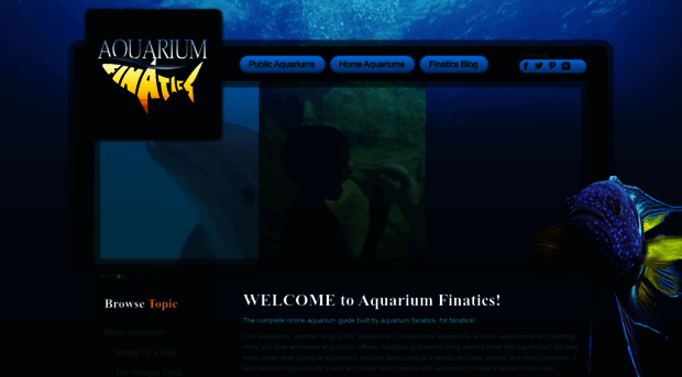 aquariumfinatics.com