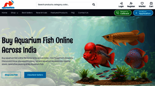 aquariumfish4u.com