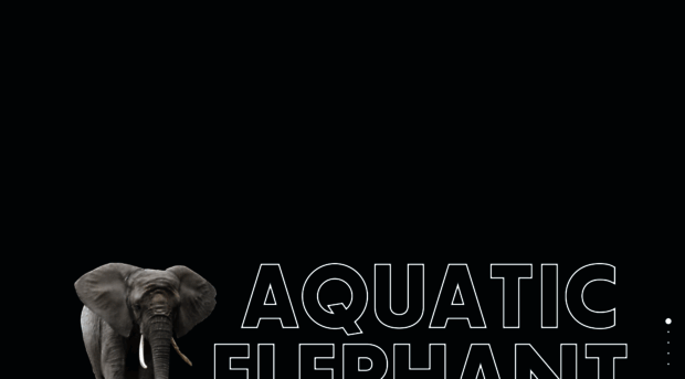 aquaticelephant.com