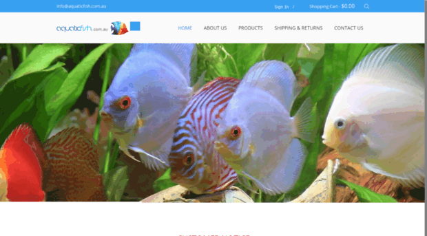 aquaticfish.com.au