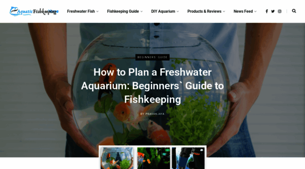 aquaticfishkeeping.com