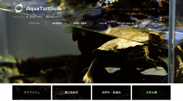 aquaturtlium.com