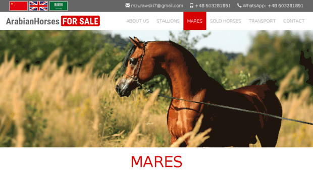 arabhorseforsale.com