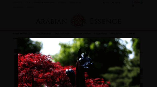 arabianessence.com