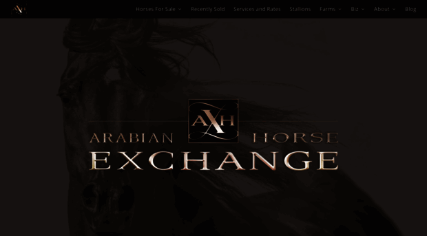 arabianhorseexchange.com