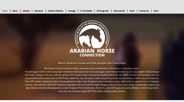 arabianhorselife.com