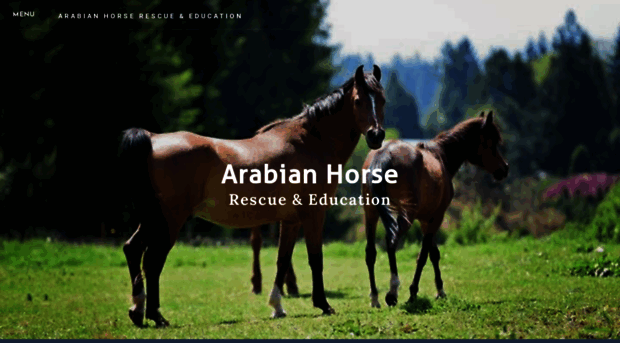 arabianhorserescueedu.org