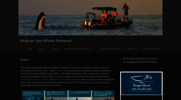 arabianseawhalenetwork.org