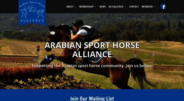 arabiansporthorsealliance.org