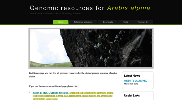 arabis-alpina.org