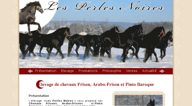 arabofrisonsetpercheronsnoirs.com