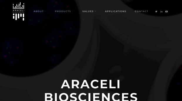 aracelibio.com