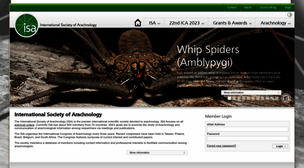 arachnology.org