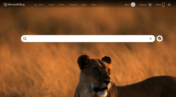 arae.bing.com