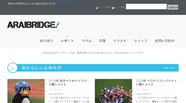 araibridge.com