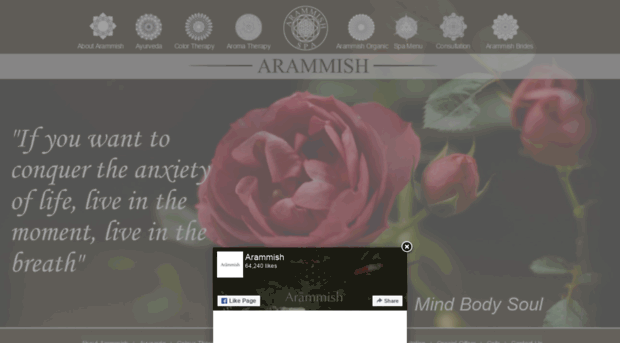 arammish.com