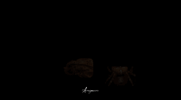 arazmacro.com