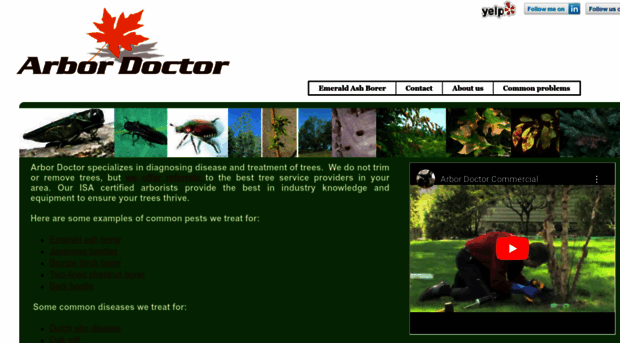 arbordoctor.net